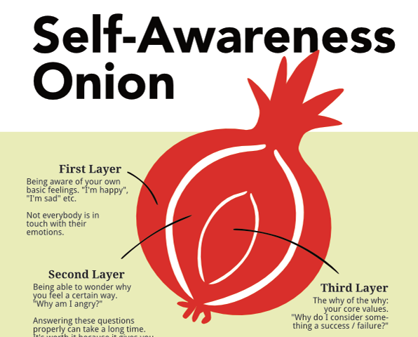 Self-Awareness Onion